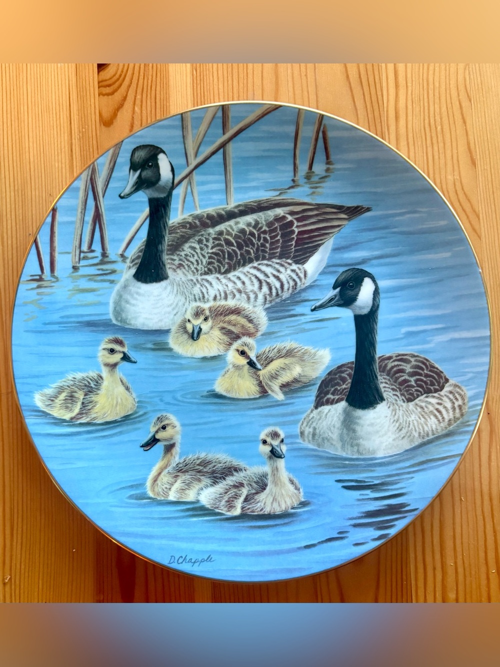 Hackett 1st Issue American Waterbirds “Marsh Venture” Ducks Collector Plate #379